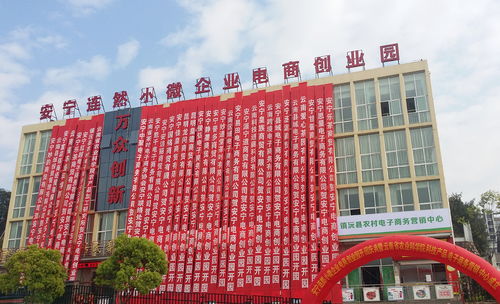 安寧喜獲全國文明城市稱號(hào)，大眾創(chuàng)業(yè)萬眾創(chuàng)新活動(dòng)周啟動(dòng)，為電子商務(wù)發(fā)展注入新活力