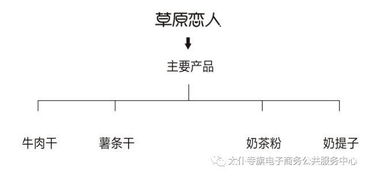 聚力農(nóng)產(chǎn)品上行，太仆寺旗電商銷售品牌策劃服務(wù)全旗 經(jīng)營(yíng)電子商務(wù)